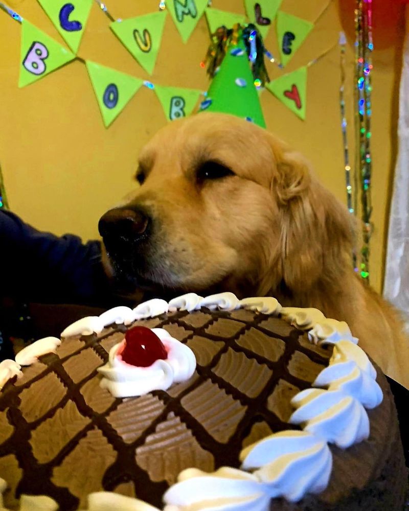 Boby en su fiesta de cumpleaños con torta y banderines que dicen Cumple Boby