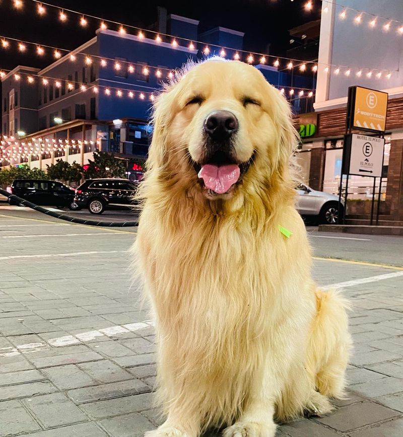 Boby sonriendo de noche bajo luces de guirnaldas